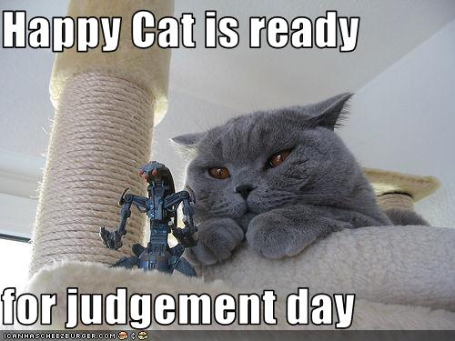 Happy Cat Photo of black cat glaring with text Happy Cat is ready for judgement day