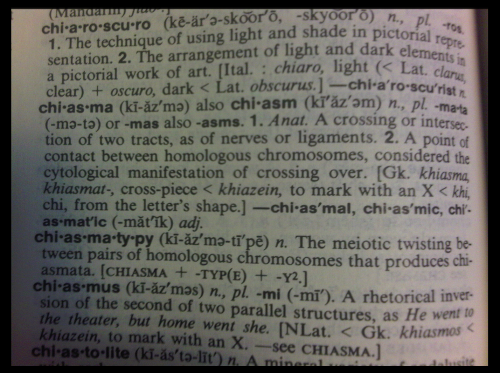 Definitions for the Rhetorical Figure Chiasmus and Related Words Dictionary page showing the entry for chiasmus and related words