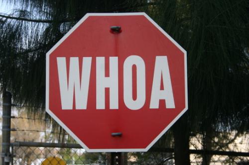 Whoa Sign Stop sign with the word WHOA in place of STOP