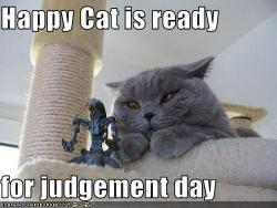 Photo of black cat glaring with text Happy Cat is ready for judgement day