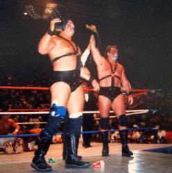 Champion tag-team wrestlers