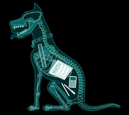 Dog X-Ray Faux x-ray of a dog with math supplies and homework in its stomach